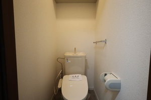 フェアリーランド B202号-8