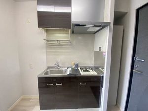 キャトルハウス 0203号-4