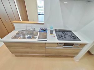 パークハイツ 0101号-3