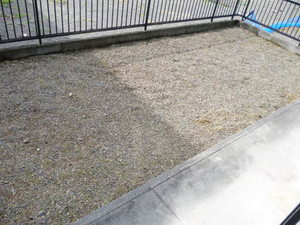 パインコースト 0102号-15