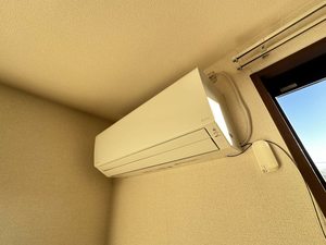 シェソワセレーノ C202号-13