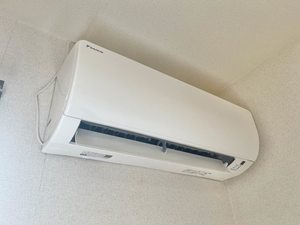 ベルドミールJK 0205号-6