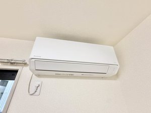オルテンシア B101号-11