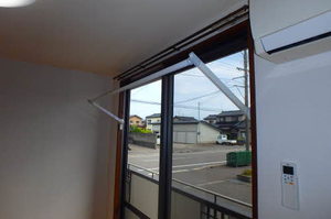 ザリーヤ A102号-12