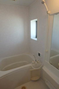 ザリーヤ B202号-7