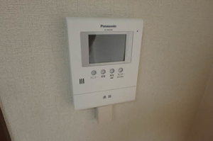 ザリーヤ B202号-11