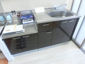 ドミールＮ 0203号-5