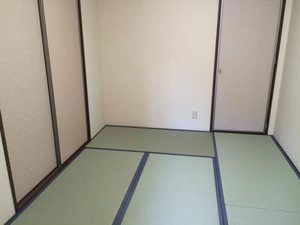 ステラ 0201号-6