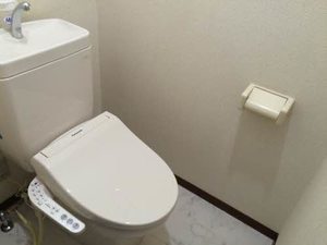 ステラ 0201号-10