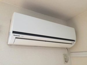 ステラ 0201号-13
