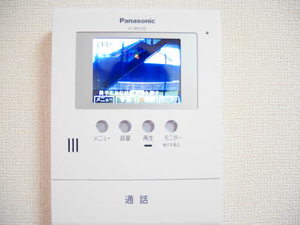 ハイビスカスD 0102号-9