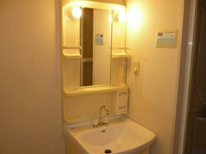 フレグランス　マウンテン 0101号-5