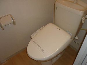 フレグランス　マウンテン 0101号-8