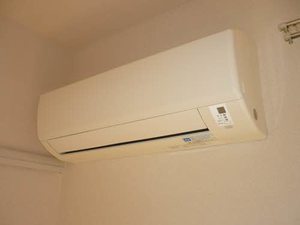 フレグランス　マウンテン 0101号-11