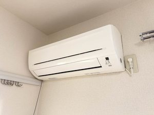 フレグランス　マウンテン 0201号-13