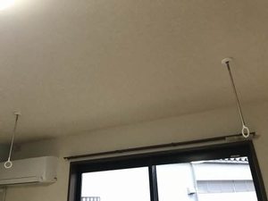 プレミール C105号-10