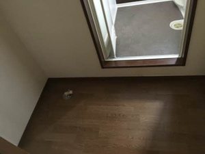 サニーハウス A202号-4