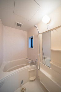 Ｚｅｈｎ 0103号-4