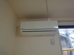 Ｚｅｈｎ 0203号-4