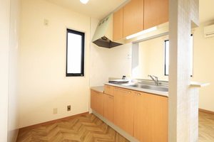 ハイネス２１ C202号-2