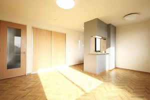 ハイネス２１ C202号-4