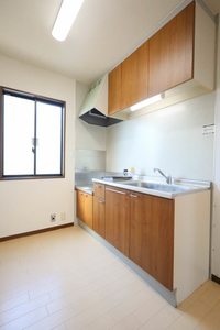 フォルクローレ 0202号-7