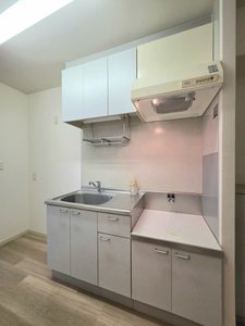 ディアス本郷 0201号-8