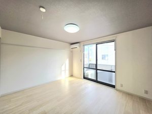 ディアス本郷 0202号-2