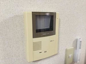 ヴァリュージュ　ハイム D201号-15