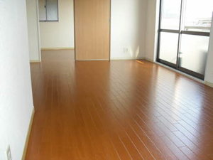 シュロス十宮 0201号-9