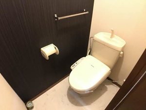 チェリーシェイド E201号-9