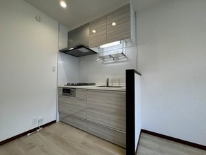 DIAS SUZUKA B105号-4
