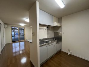 ディアス額新保 0101号-3