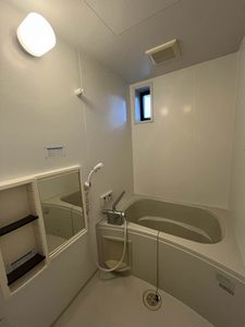 ディアス額新保 0101号-11