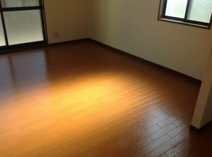 ラプランタン 0103号-7