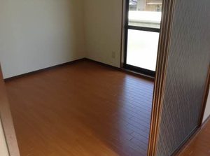 ラプランタン 0103号-9