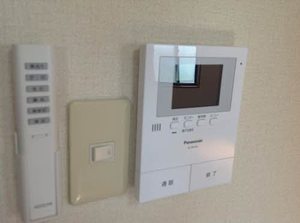 ラプランタン 0103号-11