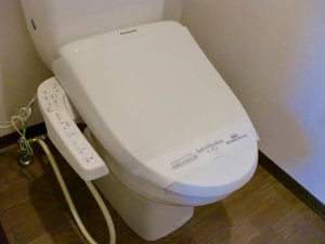 ラプランタン 0203号-5