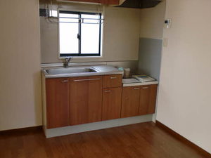 ラプランタン 0203号-6