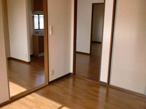 ラプランタン 0203号-9