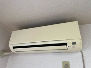 ドリームカム B201号-10