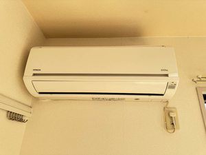 メイフラワー 0202号-12