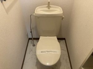 アイリスＣ 0101号-12