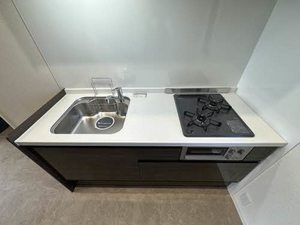 メゾン　プレミール C203号-5