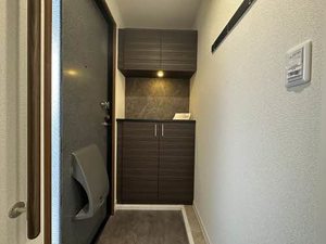 メゾン　プレミール C203号-11