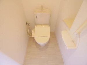 Ｍａｉｓｏｎ　ｄｅ　Ｒｉｖｉｅｒｅ 0203号-9