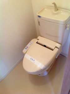 ｆｉｒｓｔ　ｒｏａｄ　ｈｉｒａｒｉ 0102号-7