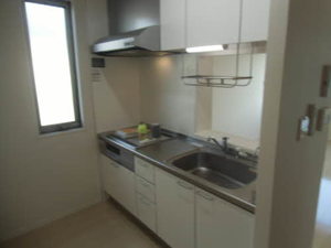 ドルフⅢ 0202号-4