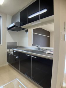 メゾン　フォルテ 0105号-3