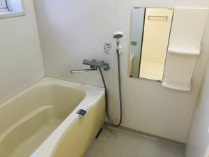 シャーメゾン　ラフィネ 0203号-9